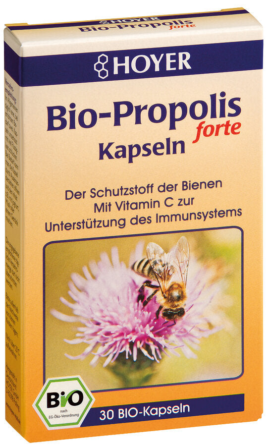 Organic propolis capsules The protective substance of bees with vitamin C as a contribution to a normal function of the bees in the bees use the Kittharz propolis to protect their bee colony and their beehive from pathogens. Propolis serves the bees to seal small openings, columns and cracks. Various surfaces, such as the interior of the honeycomb cells for brood, are also covered with a wafer -thin propolis film.