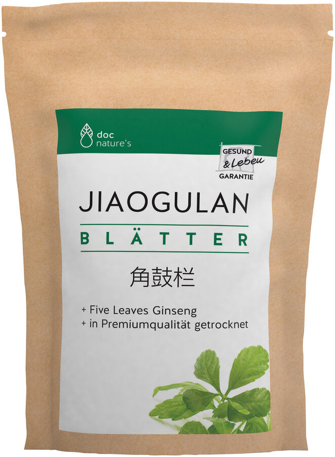 Jiaogulan Blätter + Five Leaves Ginseng + dried in premium quality
