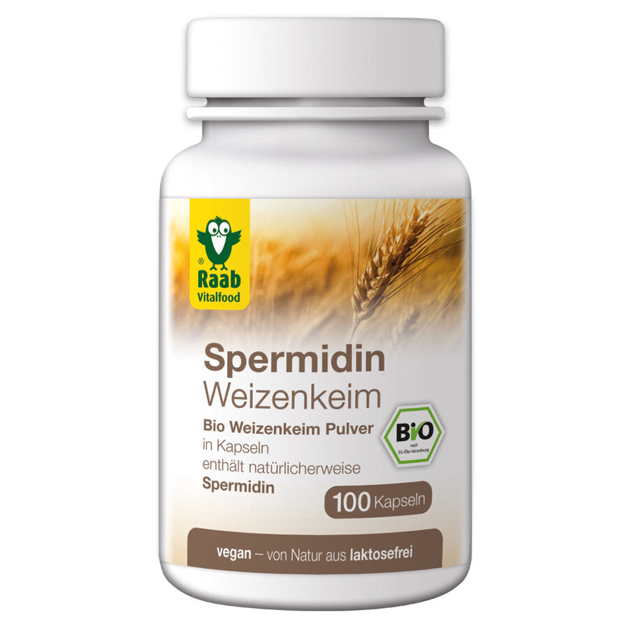 Raab Bio Spermidin capsules contain only high -quality organic wheat germ powder, which naturally contains spermidine. Only the valuable germ of the wheat grain is used for the powder, which only makes up a tiny part of the mature grain. The germ is carefully separated from the flour body, then unolved and finely ground. This contests the spermidine it contains.