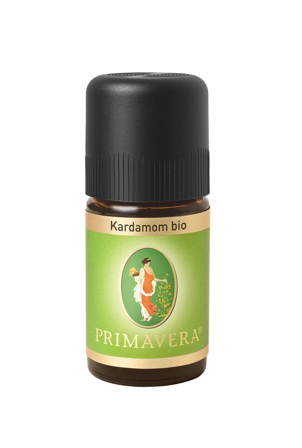 The essential oil cardamom bio* smells spicy-exotic and has a mentally stimulating, stimulating and aphrodisiac. Mixed in body oils, there is an exotic kick and can also be used for sensual massages. It is also often used in gurgling mixtures and mouth waters to avoid bad breath and prevent inflammation in the throat and throat.